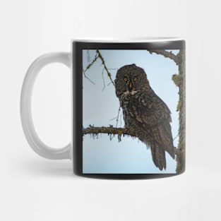 Great Grey Owl Mug